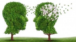 Alzheimer la enfermedad del siglo XXI